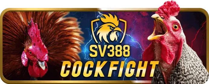 Liên hệ hỗ trợ về chính sách bảo mật 79bet đăng nhập